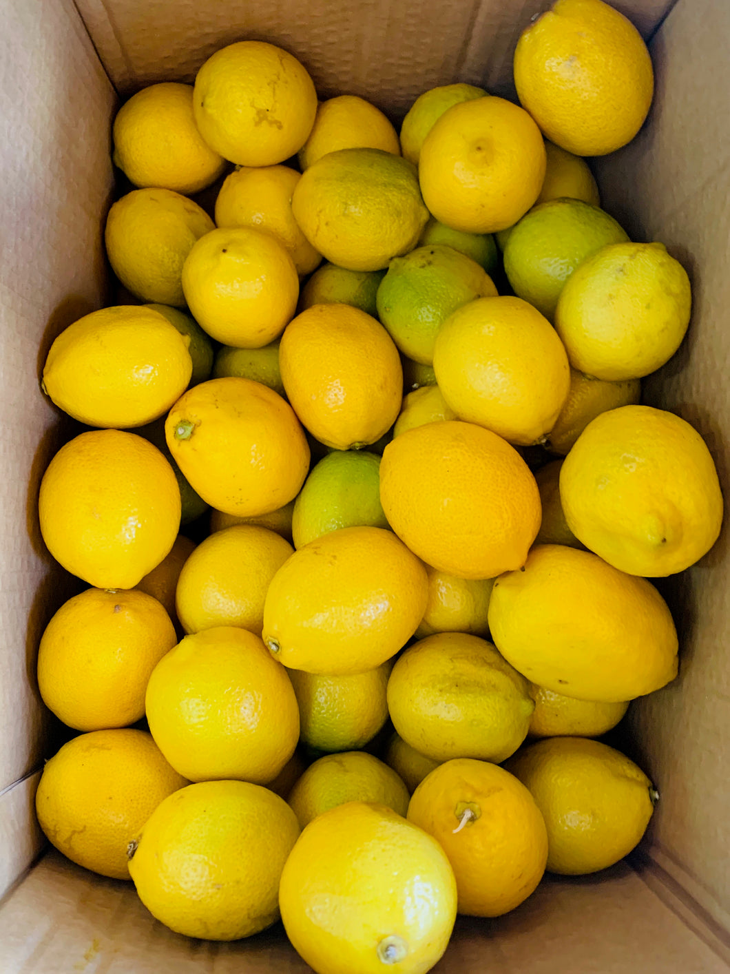 Greek Lemons